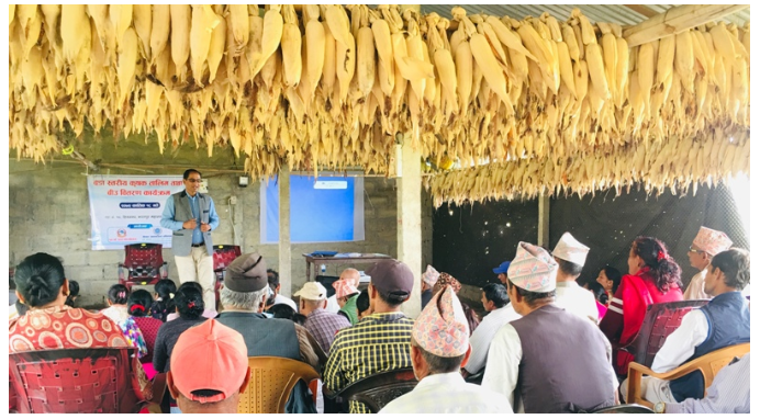 Training to the farmer for toxic reduction.