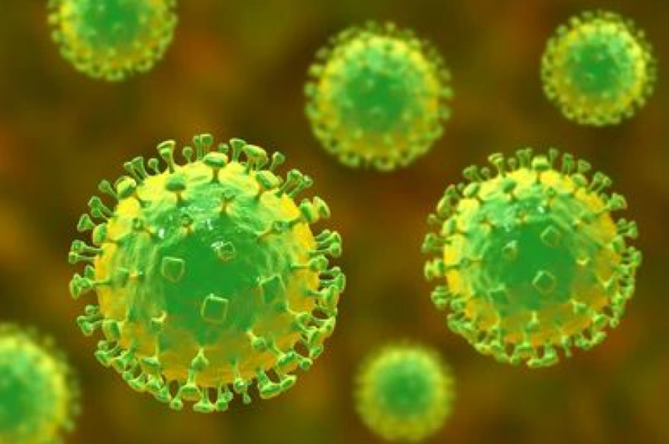 Health ministry alerts agencies to risk of Nipah virus outbreak